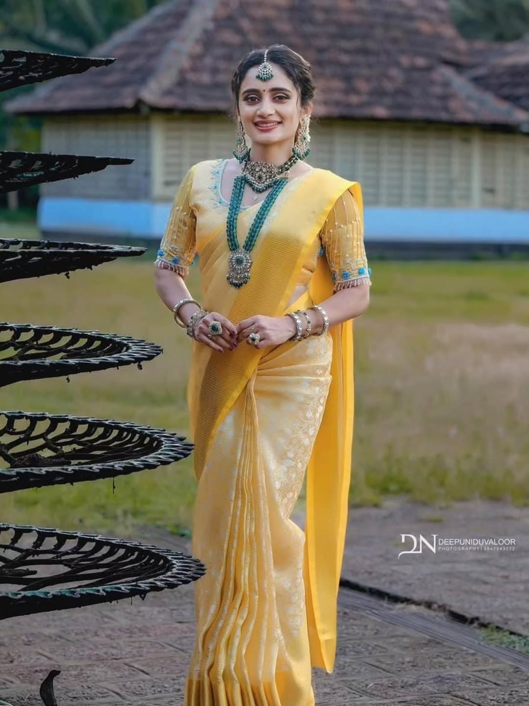 Banarasi Silk Full Gold Jaal Saree