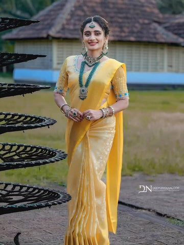 Banarasi Silk Full Gold Jaal Saree